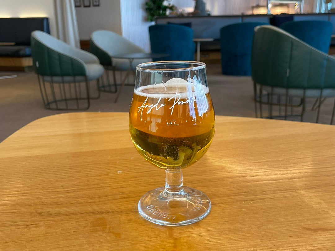 Plaza Premium Lounge Gatwick North Departures-霍利必去景点