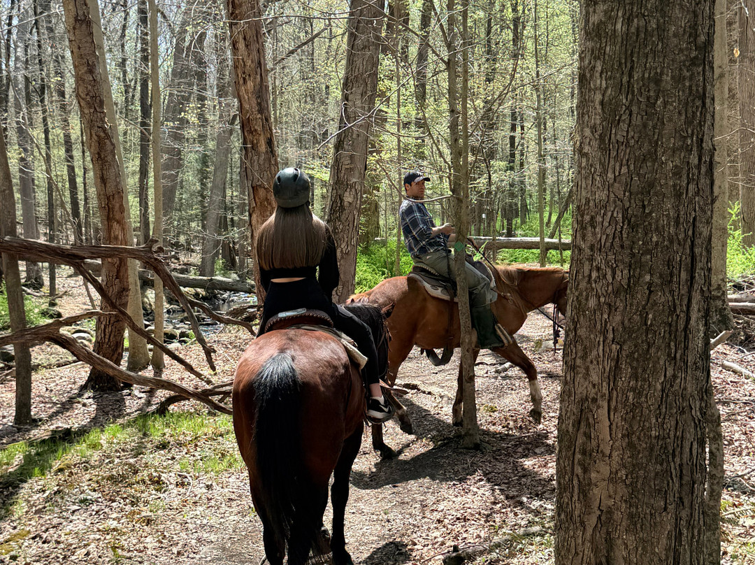 Westchester Trail Rides-Croton on Hudson必去景点