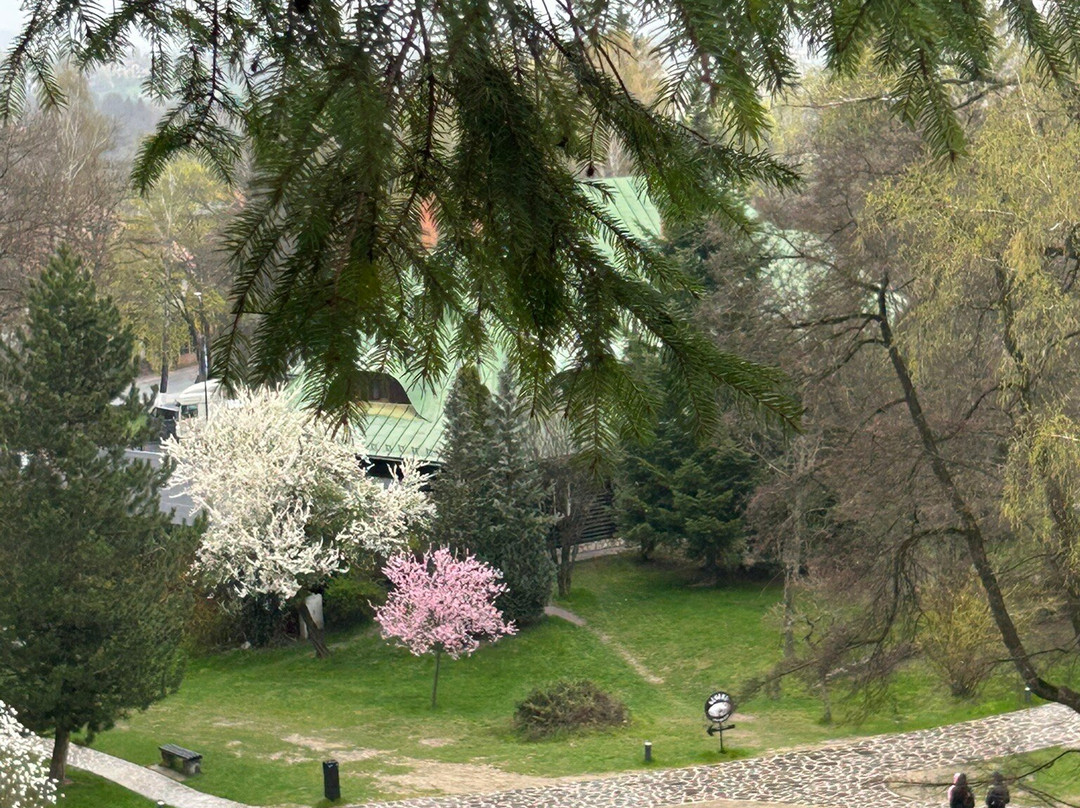 Bran Castle-布兰必去景点