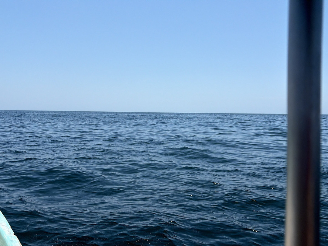 White Shark Sport Fishing & Tours-瓦图尔科必去景点