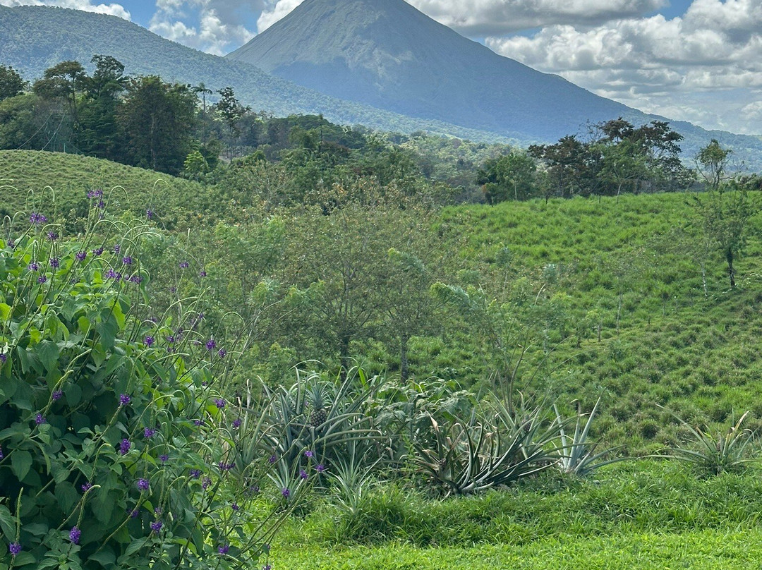Bella Aventura Costa Rica-Santo Domingo de Heredia必去景点