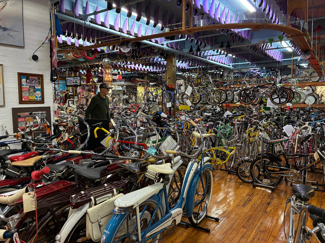Bicycle Heaven-匹兹堡必去景点