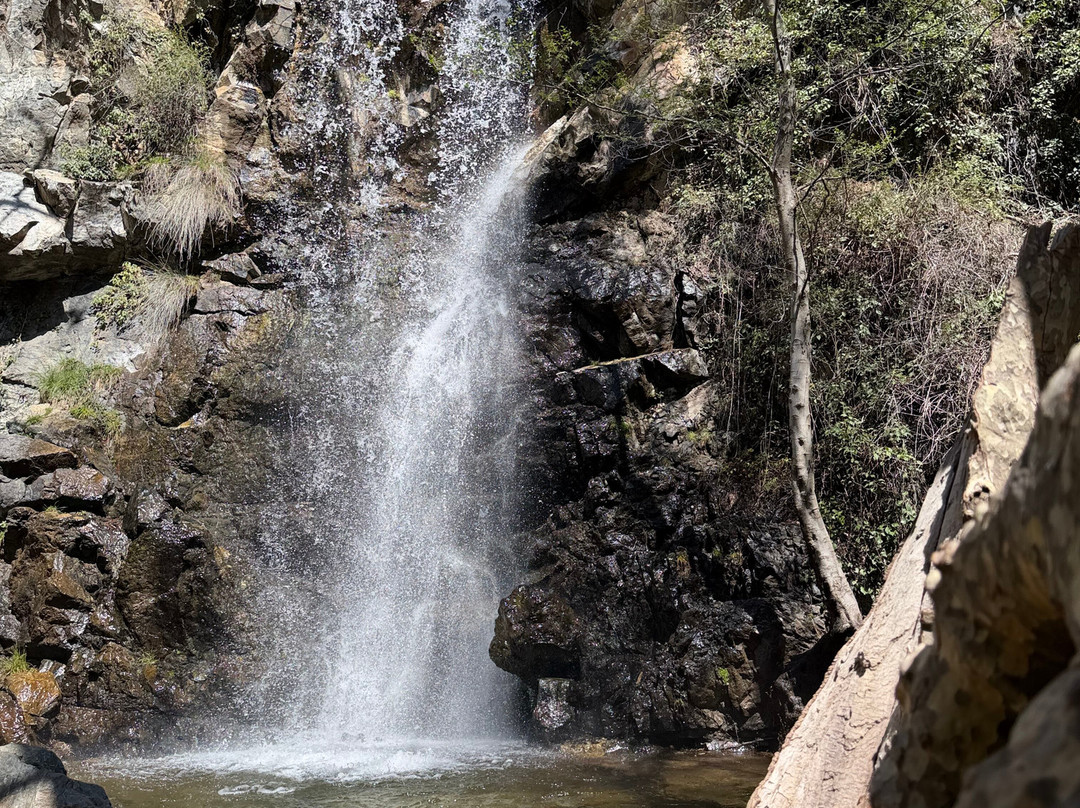 Caledonia Waterfall-帕拉翠斯必去景点