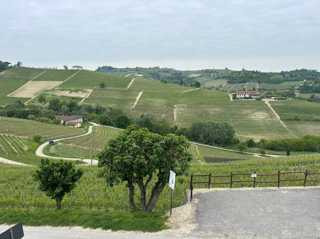 Ada Nada Agriturismo主图