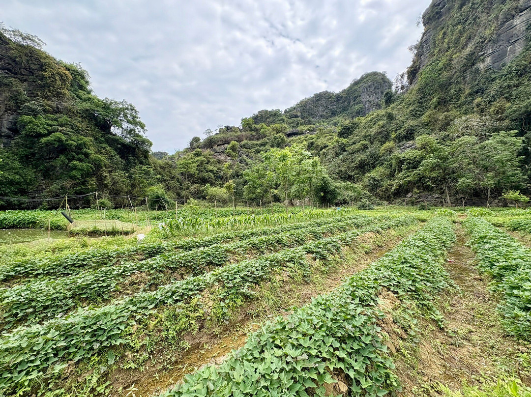Dundj Valley-宁平必去景点