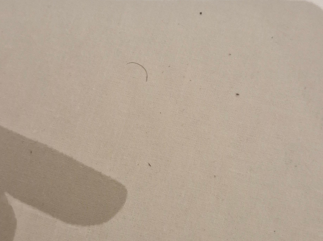 诺登宫殿酒店主图