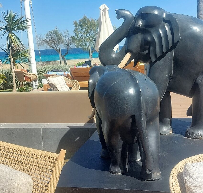 Protur Playa Cala Millor Hotel主图