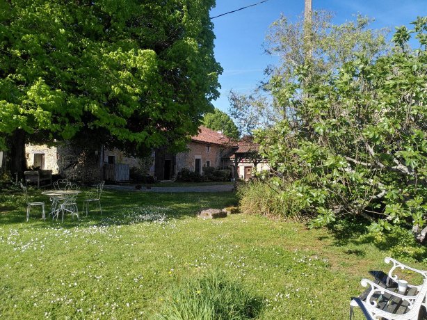 Under The Lime Tree-旅行者