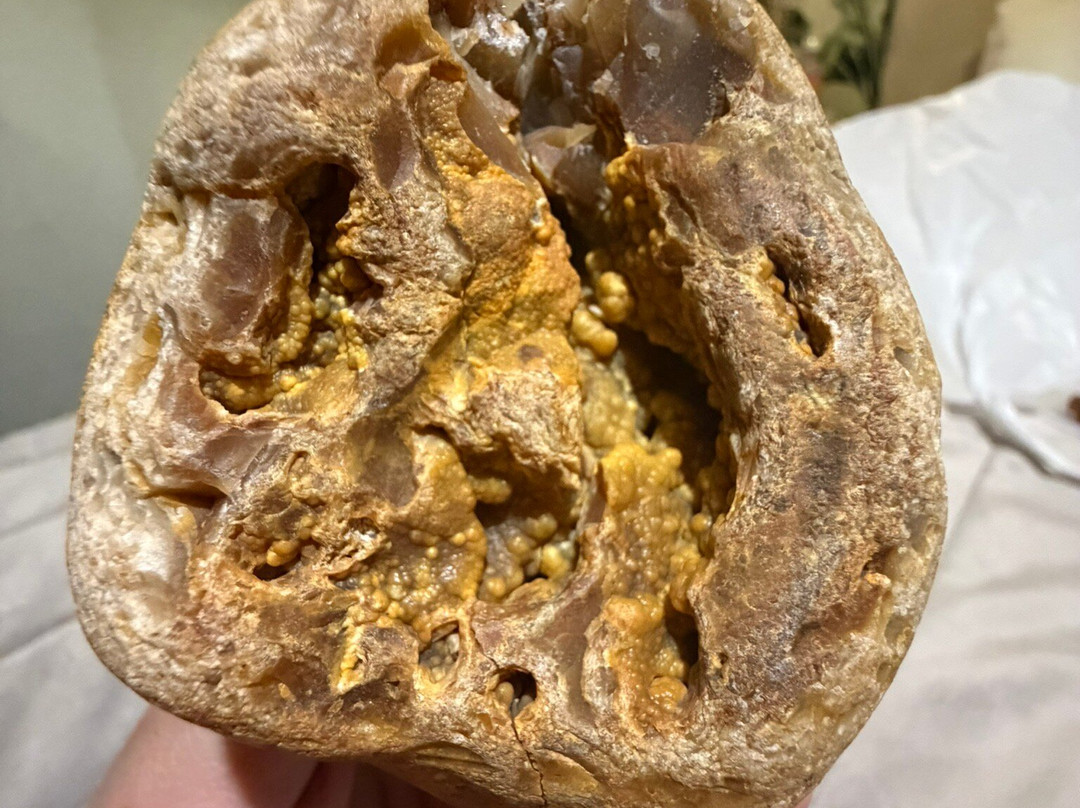 Isle of Wight Fossil Hunts - Island Gems-Godshill必去景点
