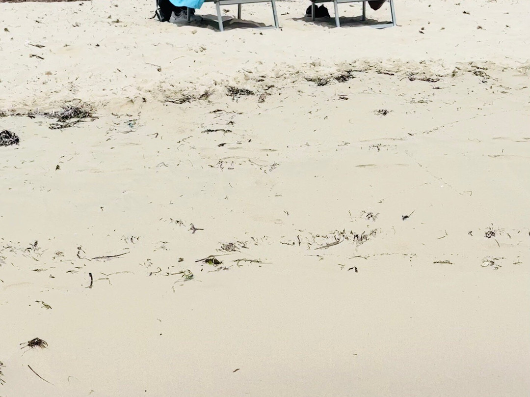 Spiaggia di Portu Ntoni-兰佩杜萨必去景点