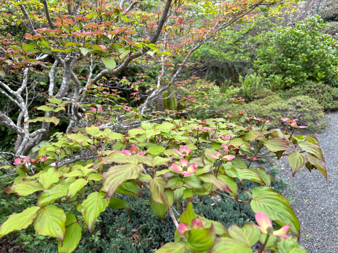 Humboldt Botanical Garden-尤里卡必去景点
