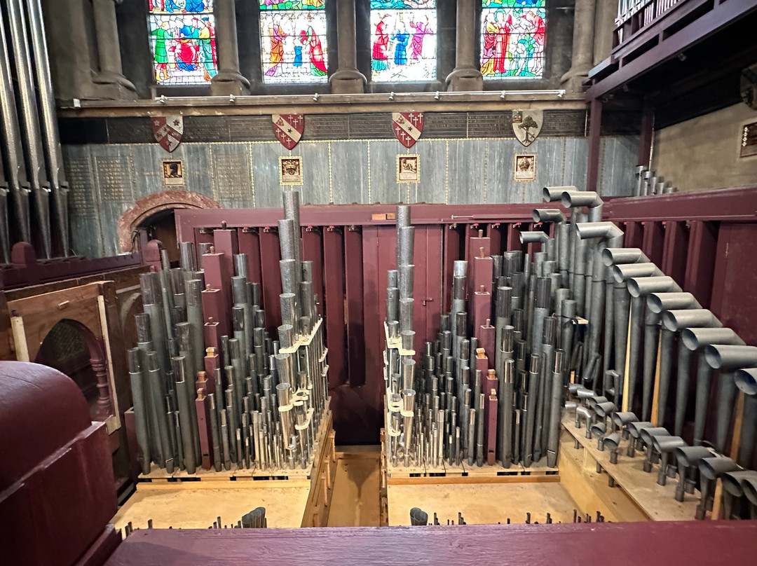 St Fin Barre's Cathedral-科克必去景点