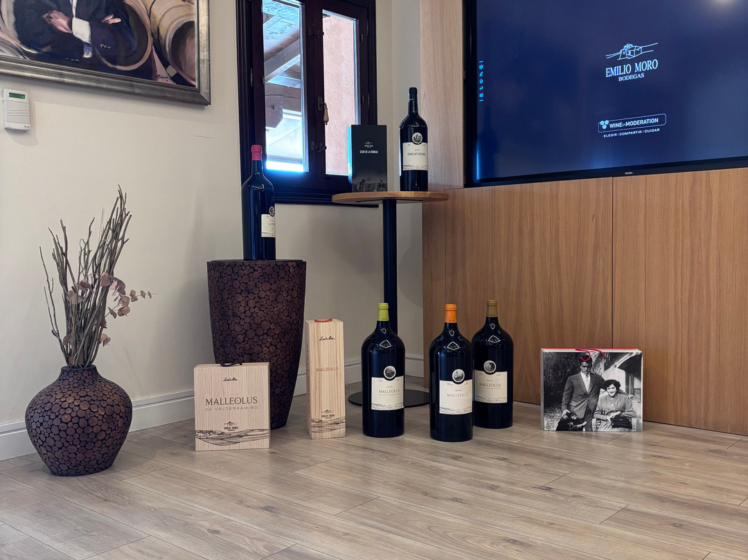 Emilio Moro Bodegas-Pesquera de Duero必去景点