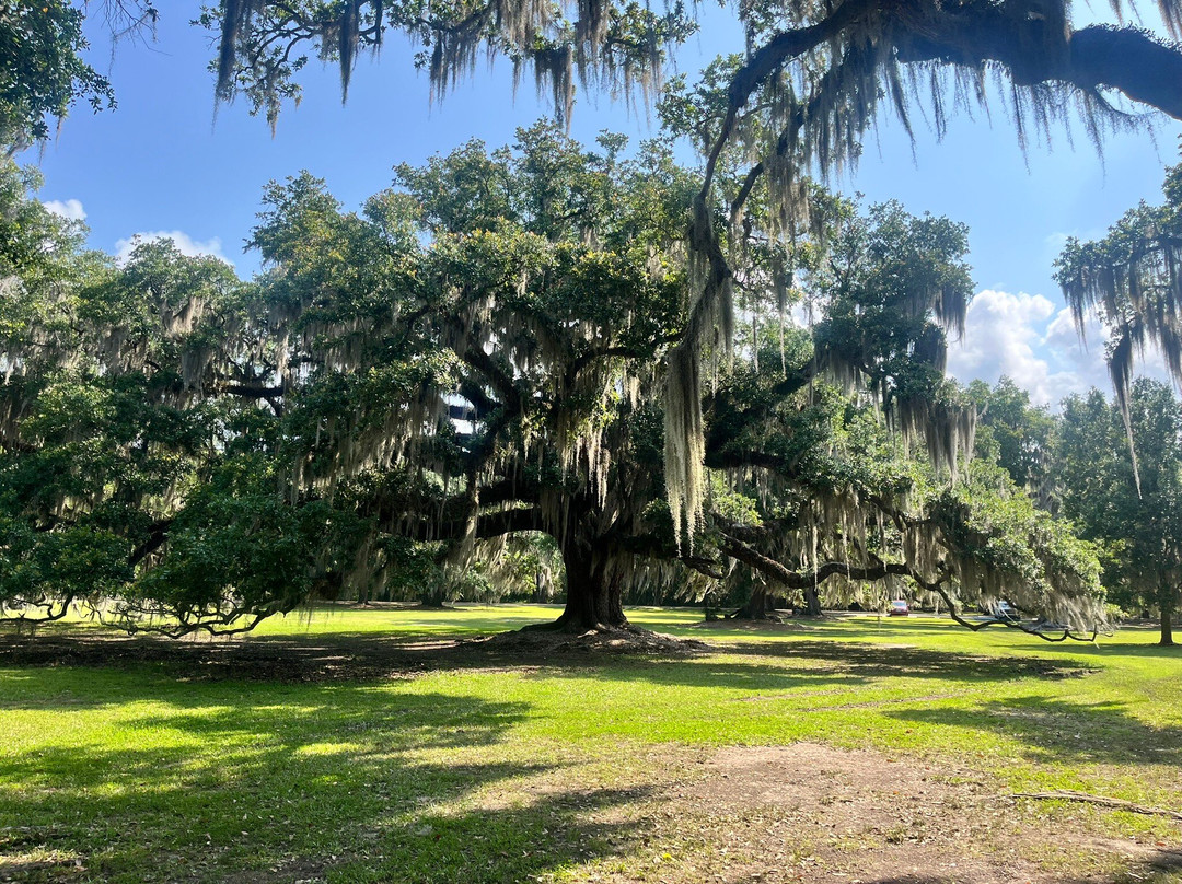 Fontainebleau State Park-Mandeville必去景点