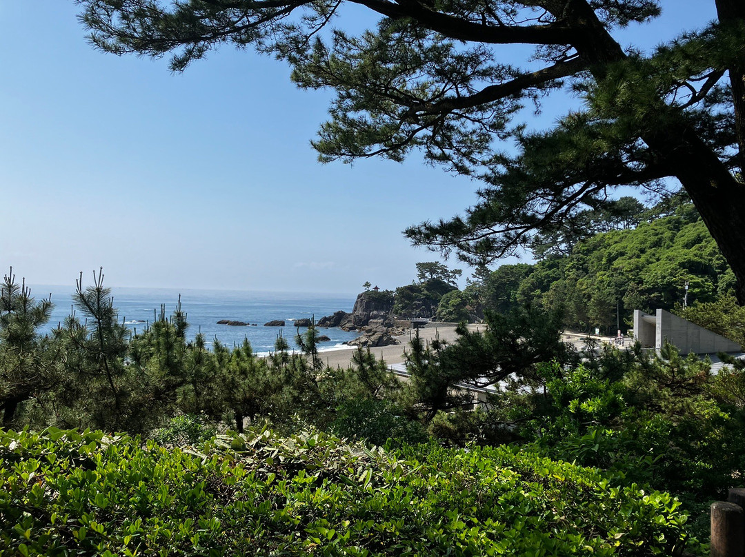 Katurahama Aquarium-高知市必去景点