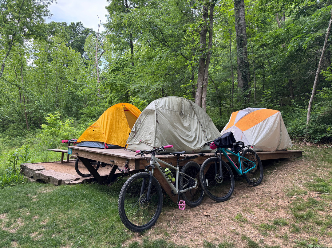 Coler Mountain Bike Preserve-本顿维尔必去景点
