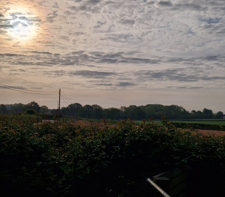 Church Farm Ardeley-斯蒂夫尼奇必去景点