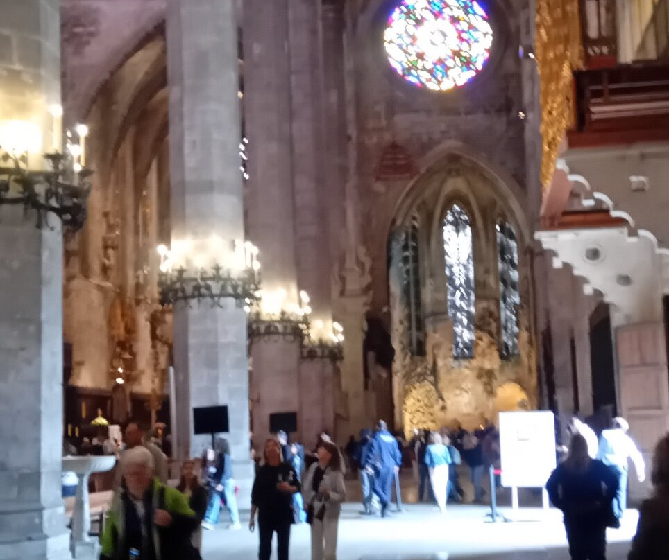 Cathedral de Mallorca-马洛卡帕尔马必去景点