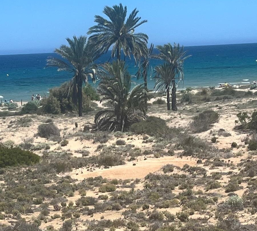 Platja Del Carabassí-埃尔切必去景点