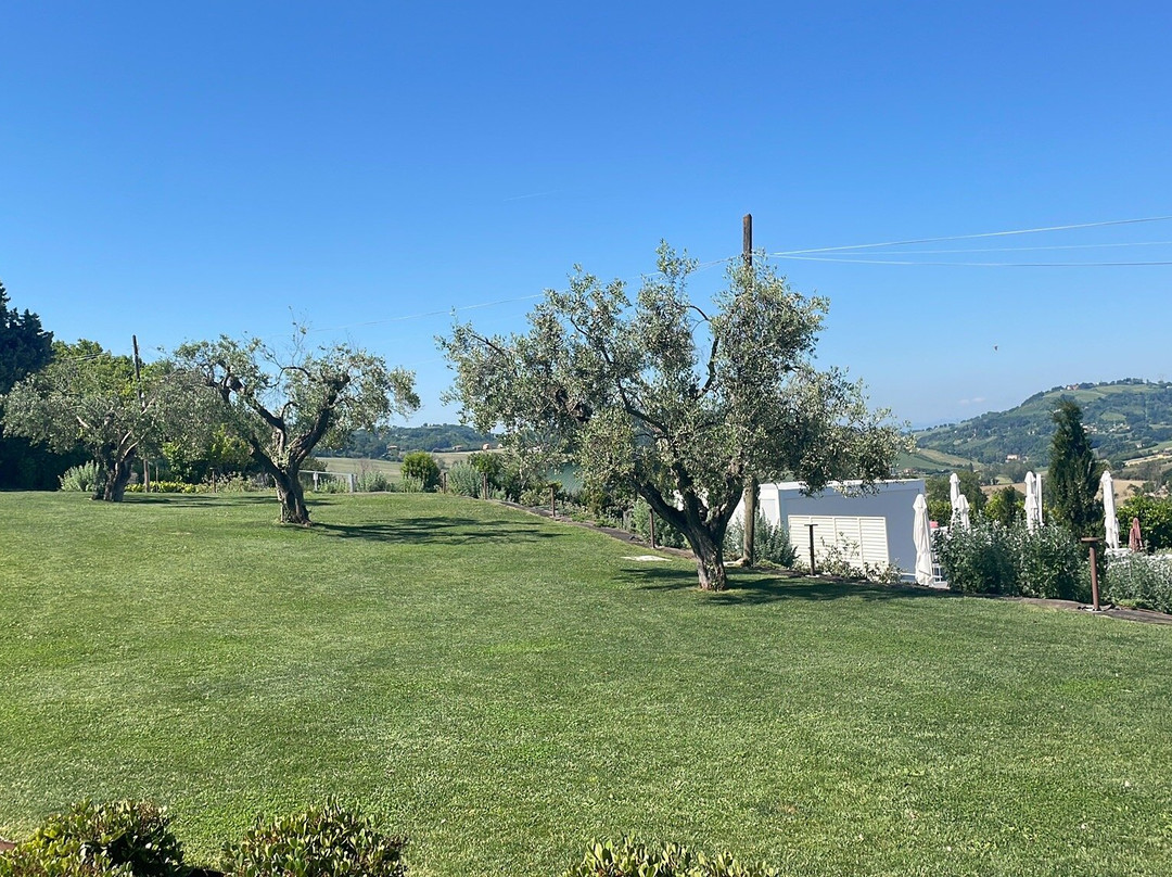 A3Passi Agriturismo tra gli Ulivi 酒店主图
