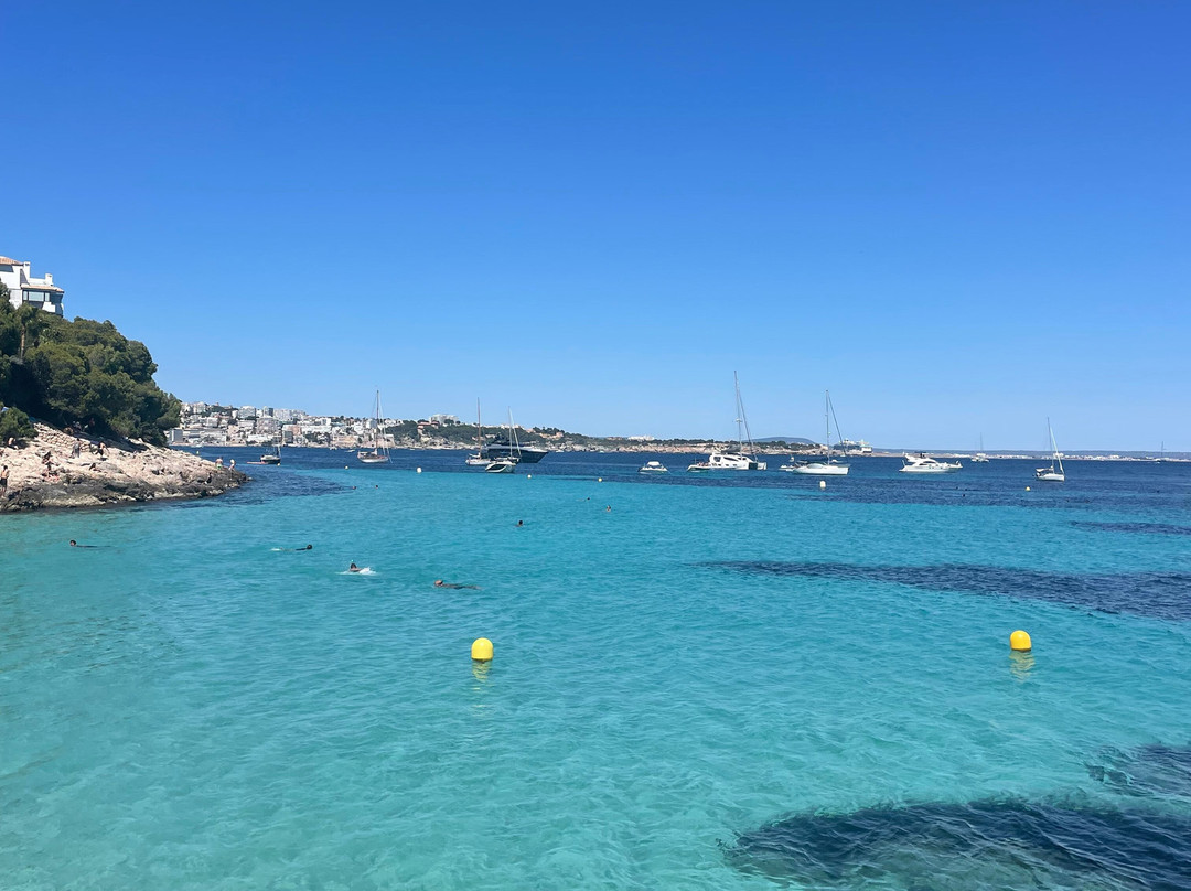 Cala Comtesa-Ses Illetes必去景点