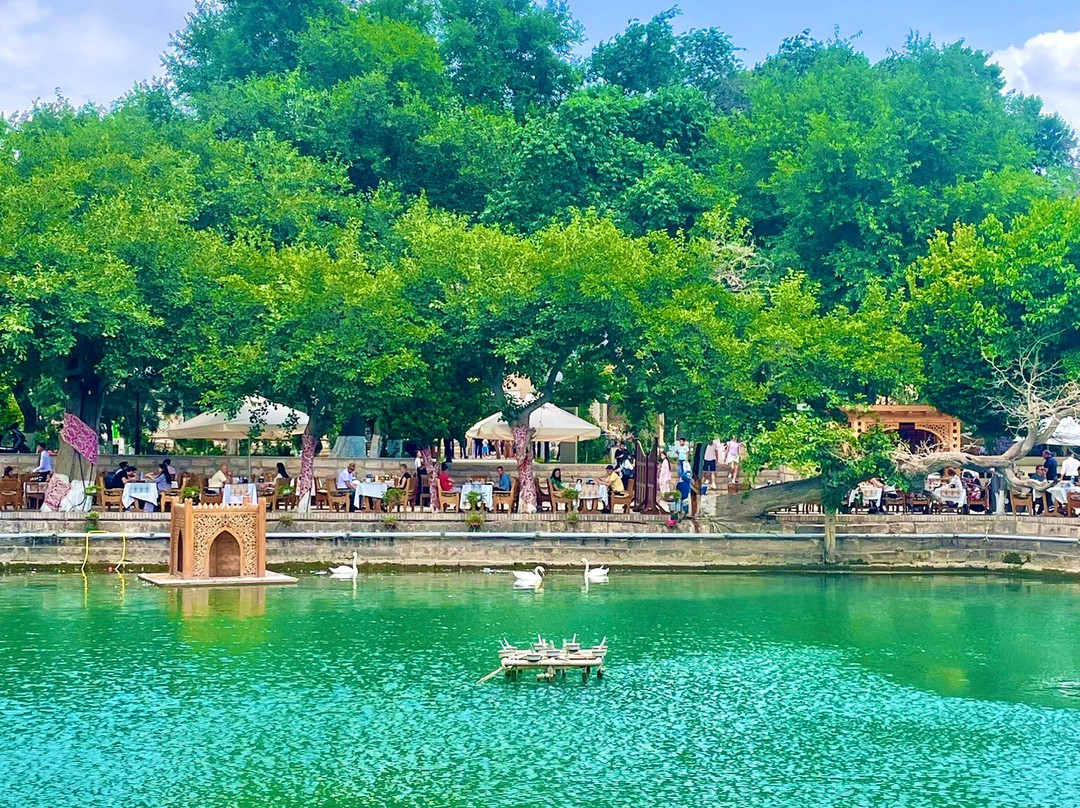 来比哈斯-布哈拉必去景点