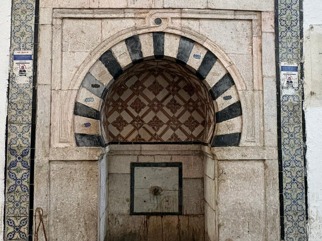 The doors of the medina-突尼斯必去景点