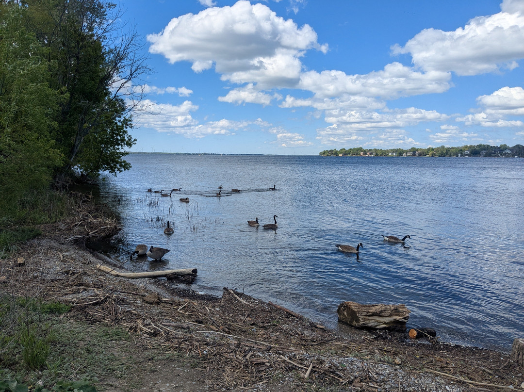 Lemoine Point Conservation Area-金斯顿必去景点