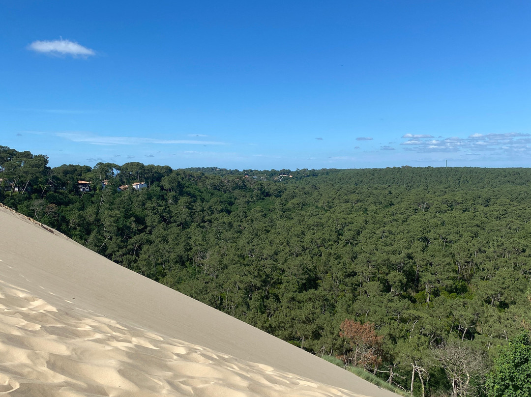Great Dune of Pilat-拉泰斯特德比克必去景点