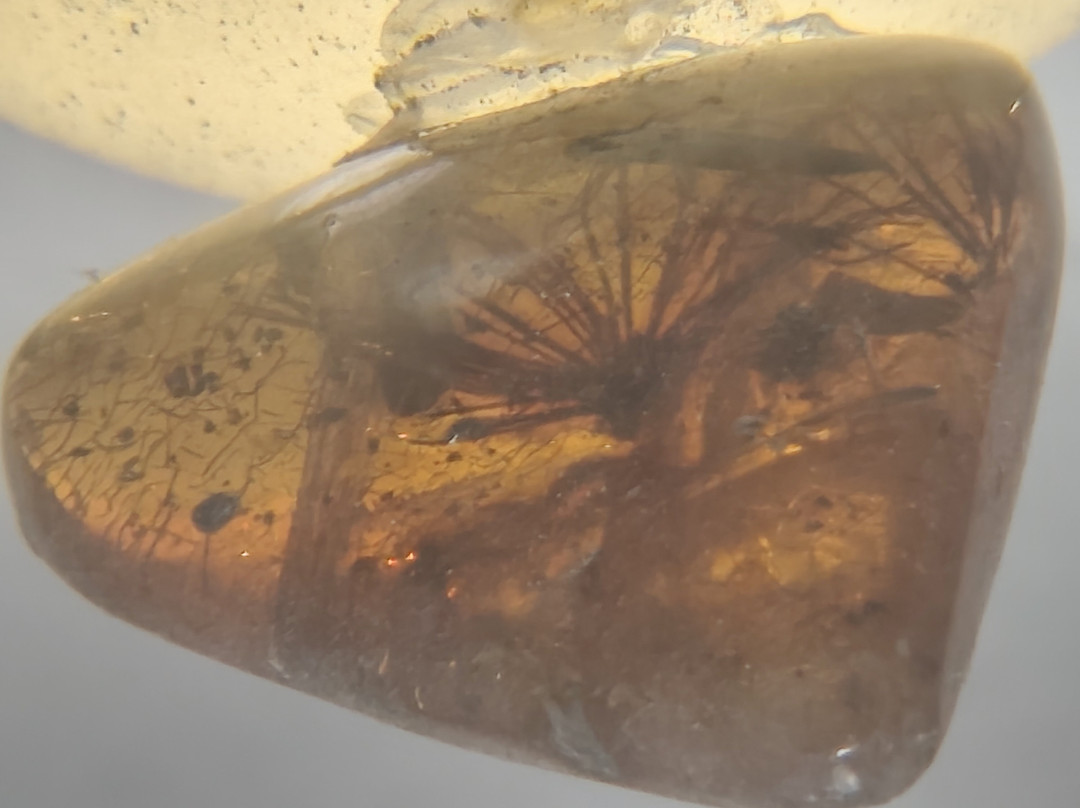 Amber World Museum-圣多明哥必去景点