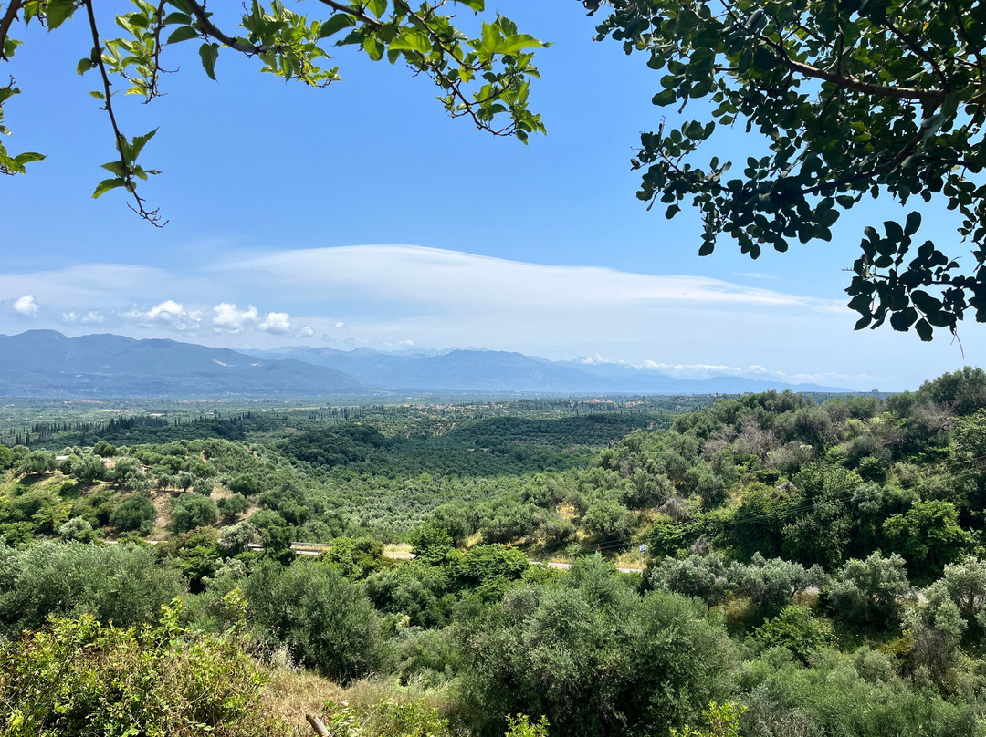 The Olive Routes-Androusa必去景点