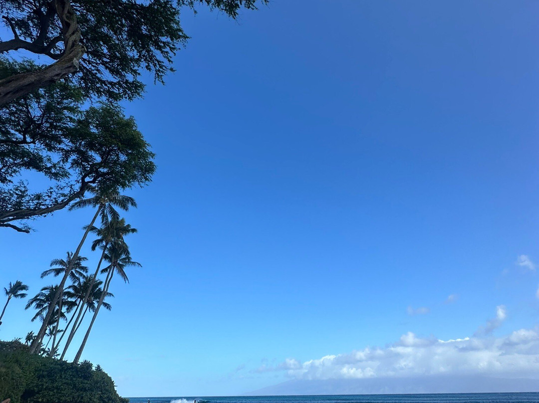 城堡纳皮利冲浪海滩度假村主图