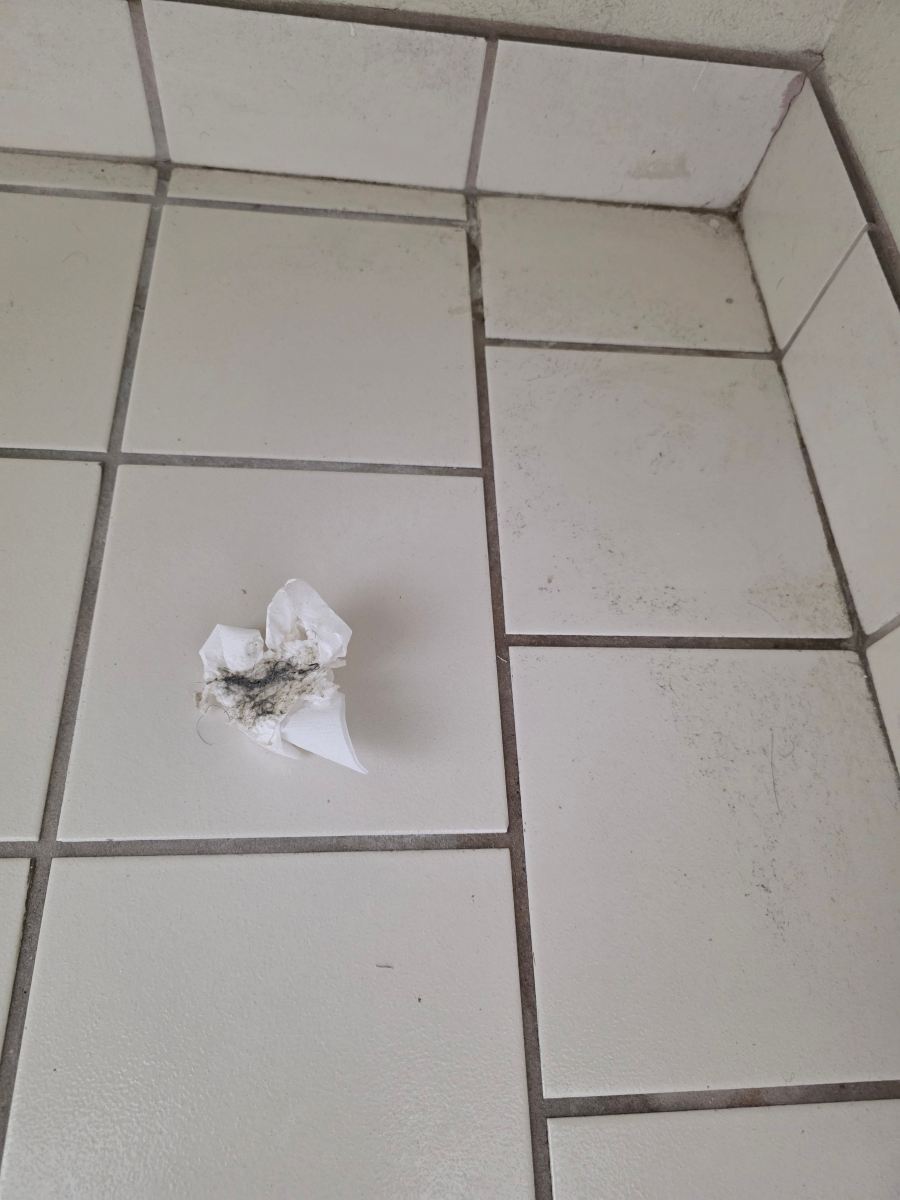 品质酒店华盛顿 - 圣乔治北-旅行者