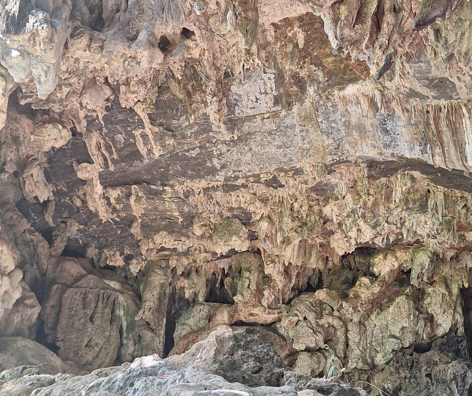 Parque Estadual da Lapa Grande-Montes Claros必去景点