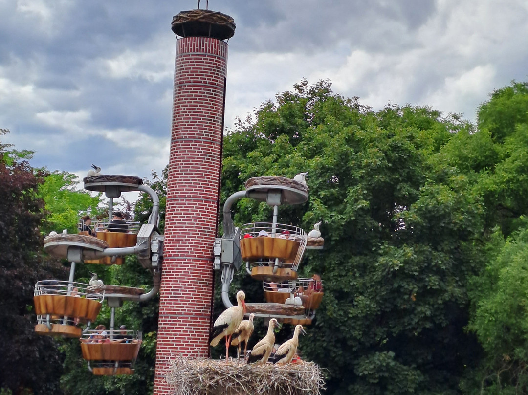 Cigoland - Parc des Cigognes et Attractions-Kintzheim必去景点