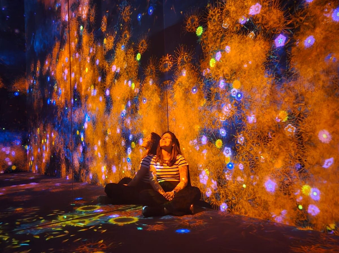 Teamlab Borderless Tokyo-港区必去景点