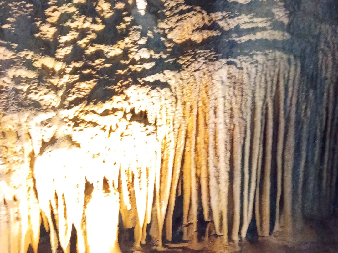 Fantastic Caverns-斯普林菲尔德必去景点