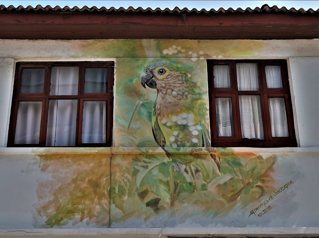 Street Murals By Aruba Art Fair-San Nicolas必去景点