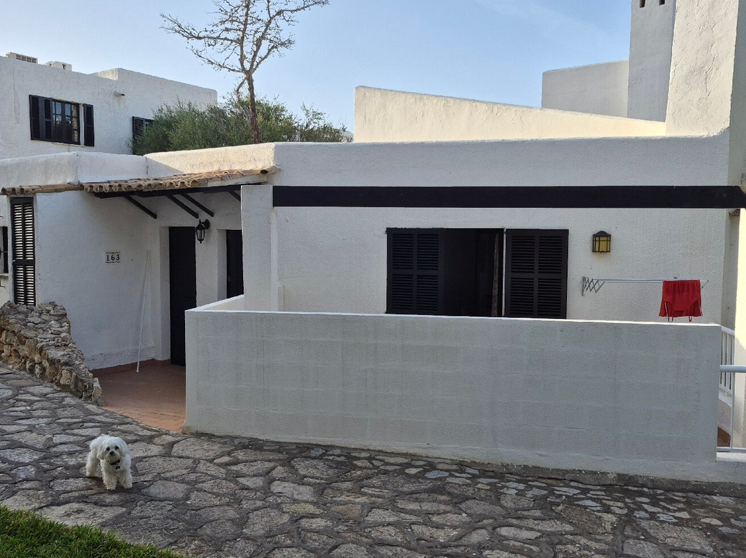Club Cala Domingos主图