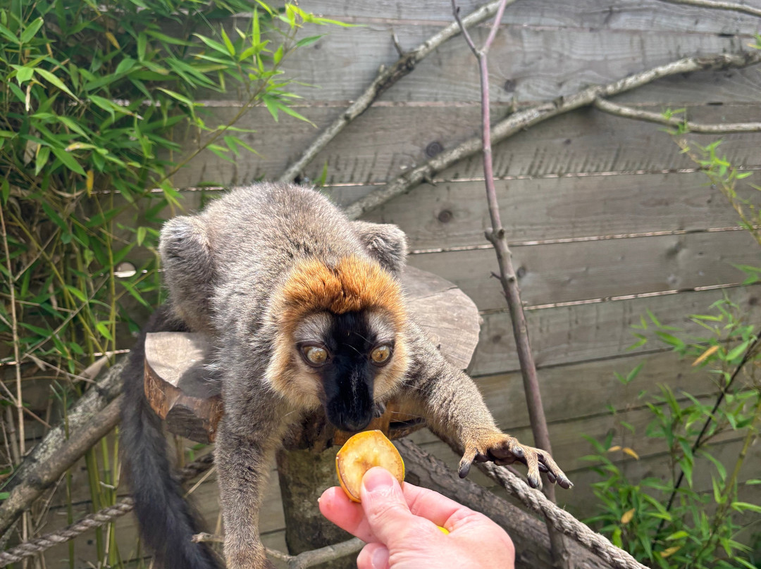 Exotic Zoo Wildlife Park + Natural History & Dino Museum-特尔福德必去景点