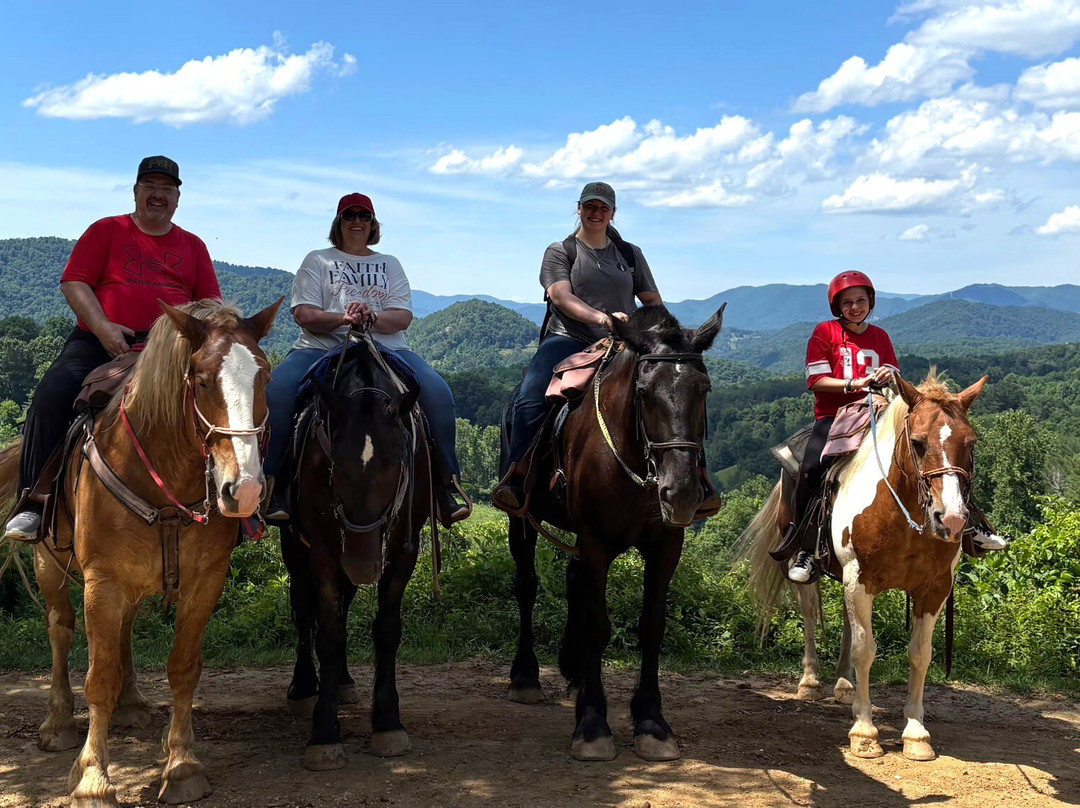 Sandy Bottom Trail Rides-Marshall必去景点