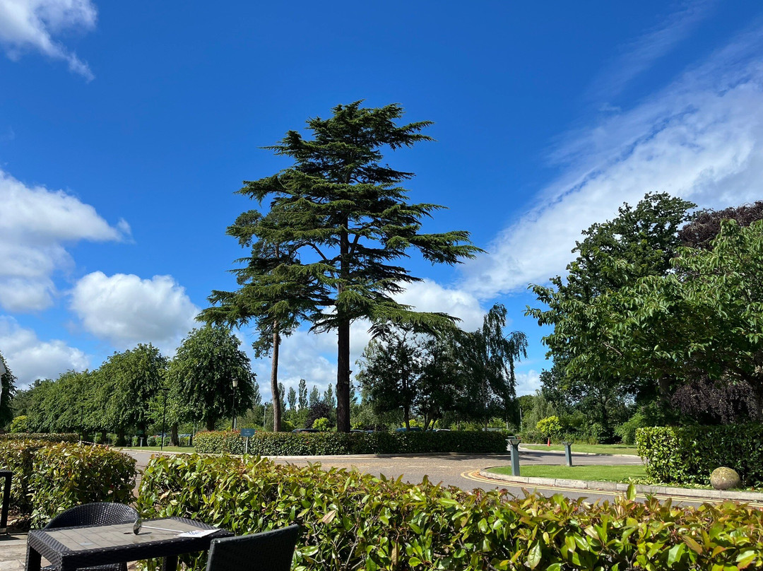 Alvaston Hall Hotel主图