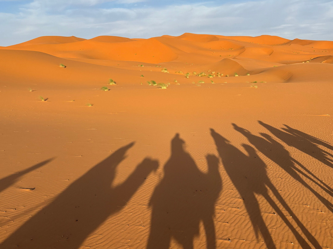 1001 Tours Morocco-塔拉戈纳必去景点