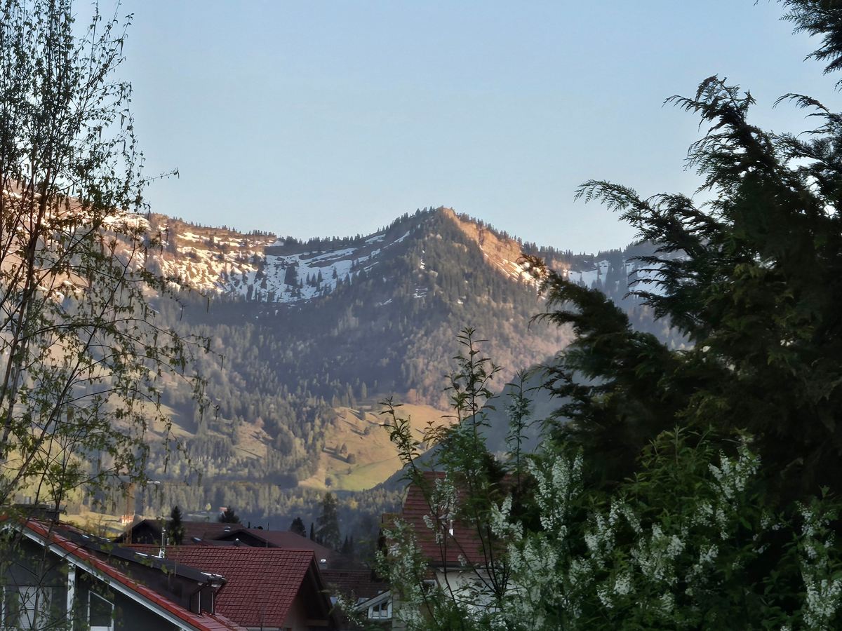 Hotel Hubertushof-旅行者
