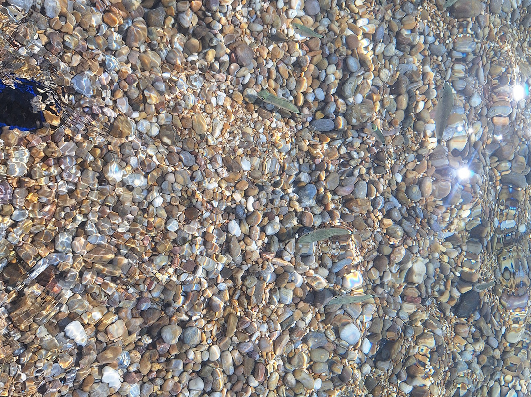 Spiaggia di Vignanotica-维耶斯泰必去景点