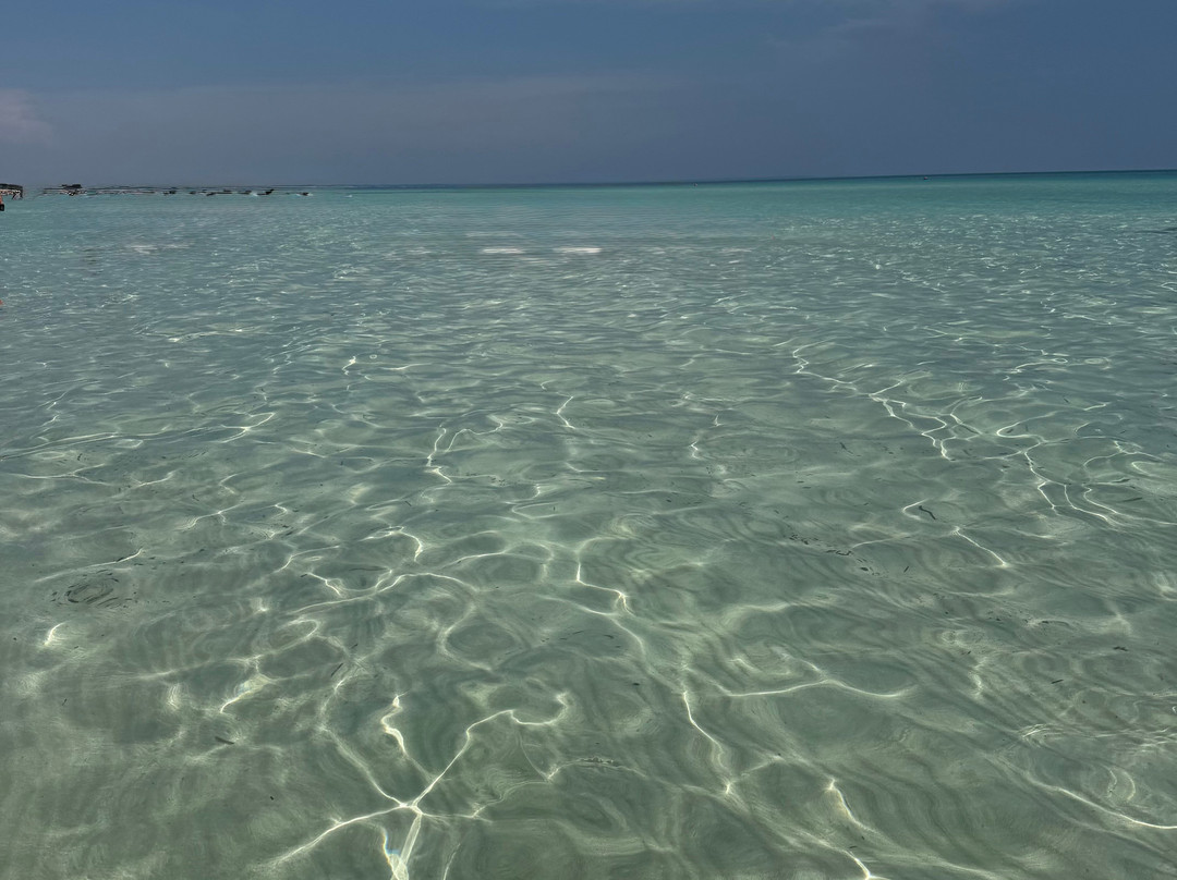 Spiaggia di Punta Prosciuto-Punta Prosciutto必去景点