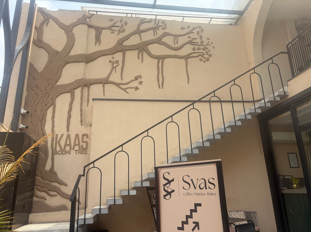Svas - Specialty Coffee, Matcha & Bakes