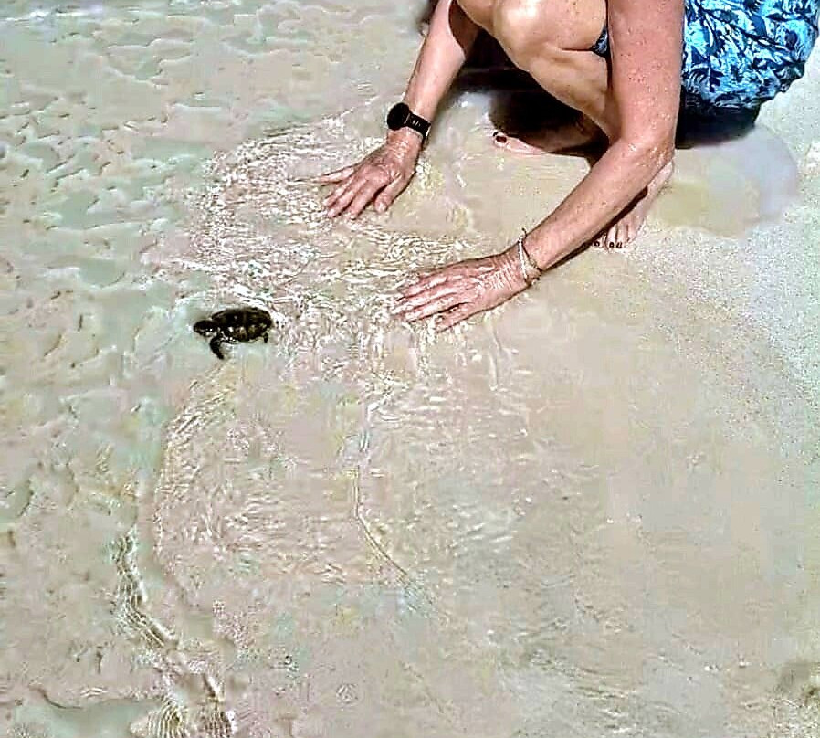 Gili Meno Turtle Sanctuary-Gili Meno必去景点
