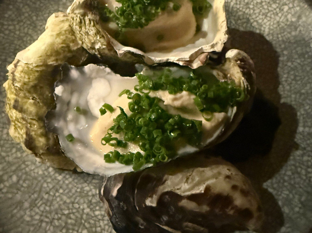赛菲尔菲欣纳酒店主图