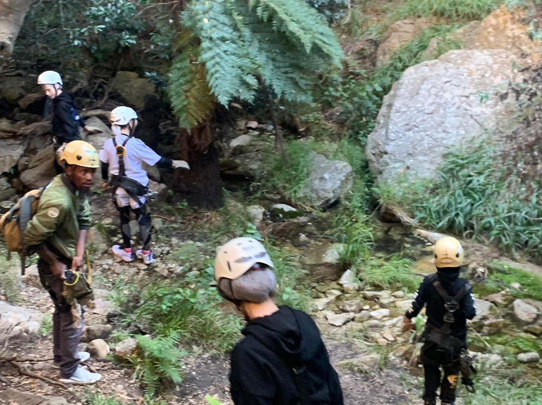 Magaliesberg Canopy Tour-鲁斯登堡必去景点